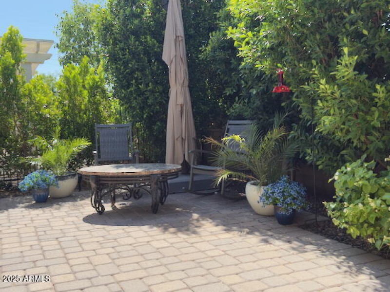 Open Patio