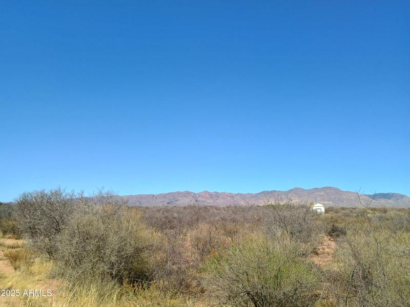 IMG_20250520_151709539_HDR