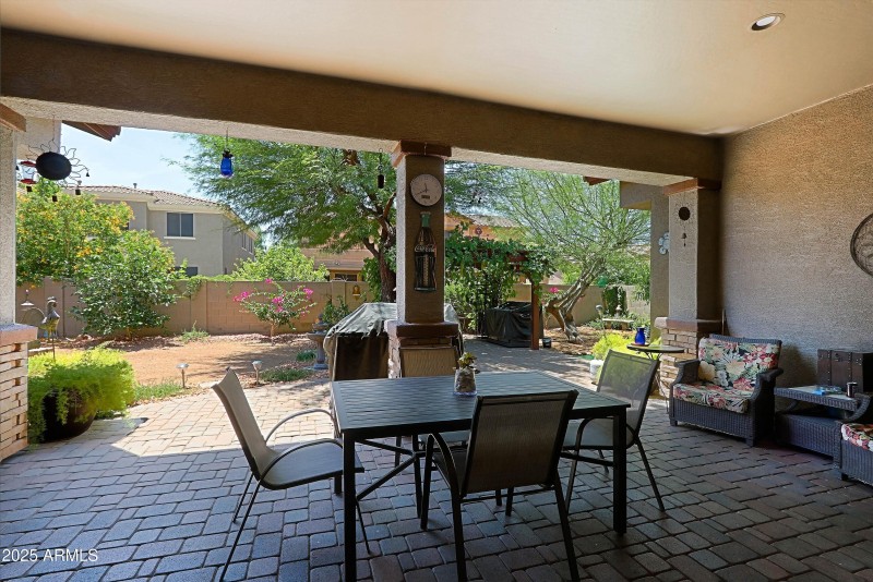 Backyard 1