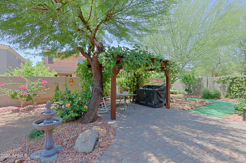 Backyard 3
