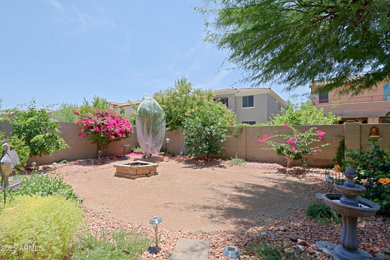 Backyard 4