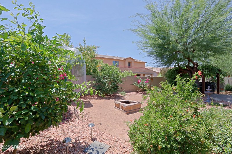Backyard 7
