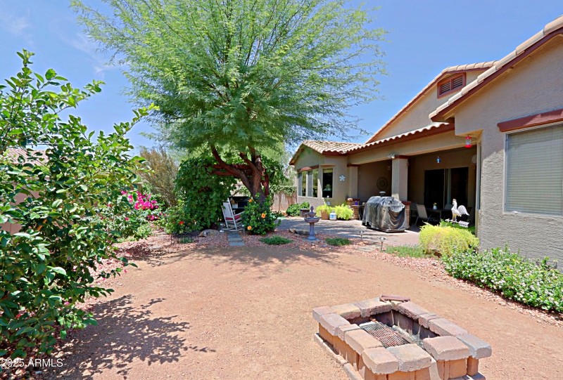 Backyard 8