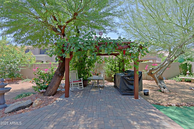 Backyard 10