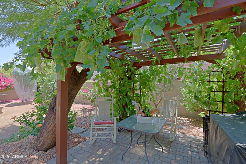 Backyard 11