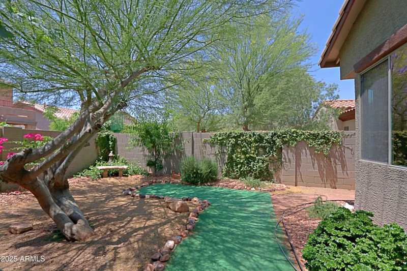 Backyard 13