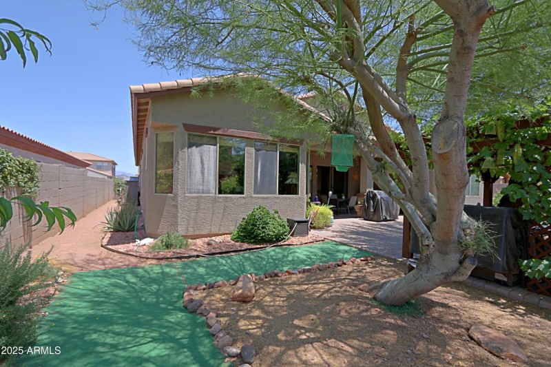 Backyard 14