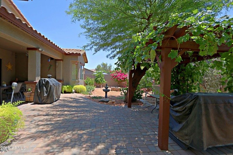 Backyard 19