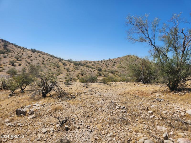 Estrella Mountain Lot View