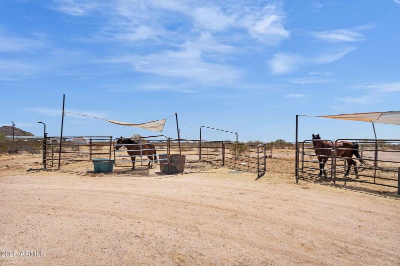 5-web-or-mls-DSC00308