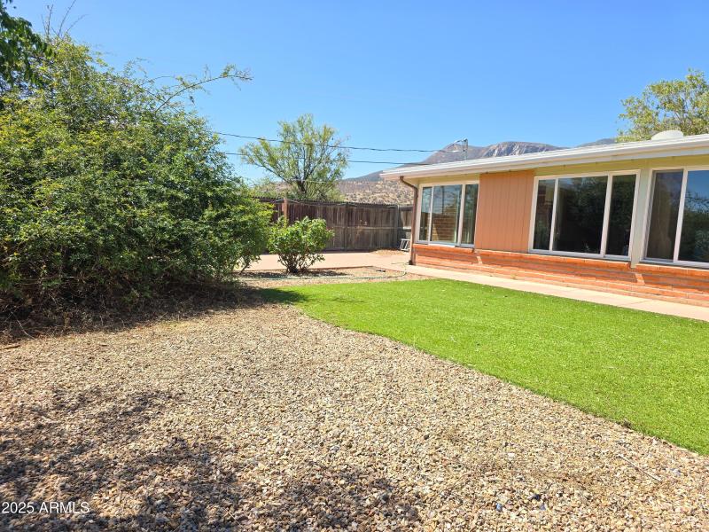 That's a Tombstone Rose in the corner