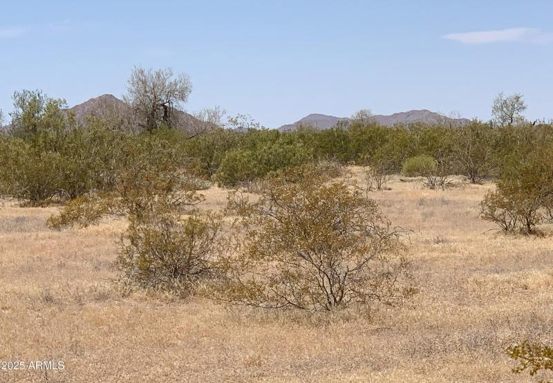 Mountain Views All Around!