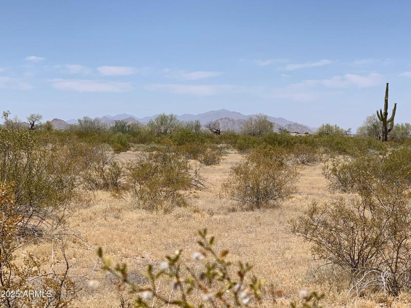 Living the Country Life!