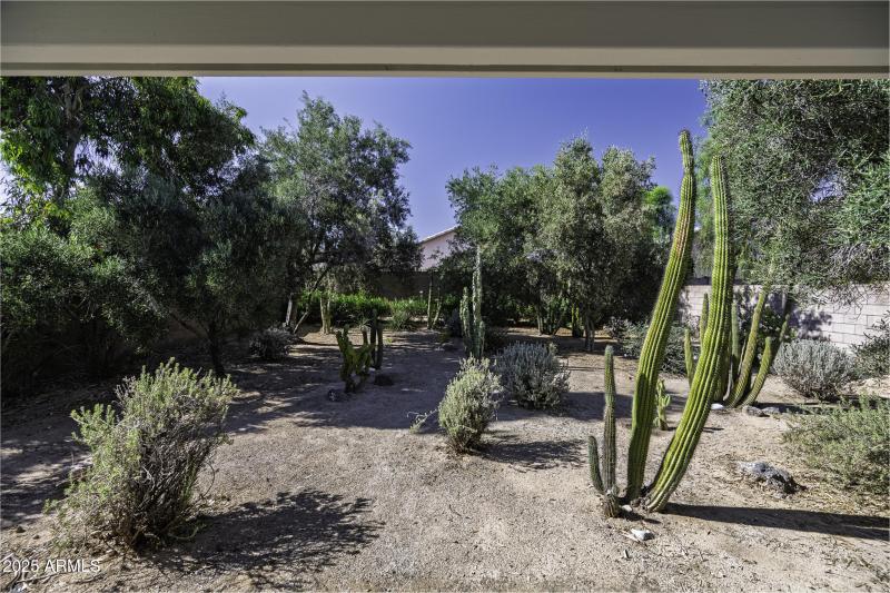 4530 E Desert Wind Dr-29