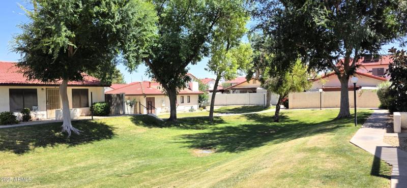 Front & Side Yard (7)