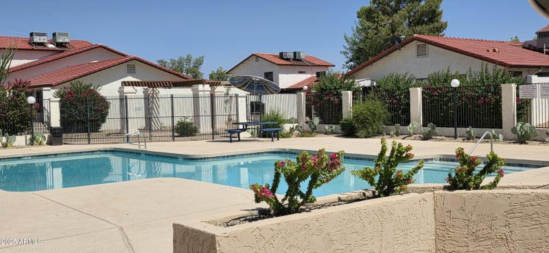 Pool & Club House (5)