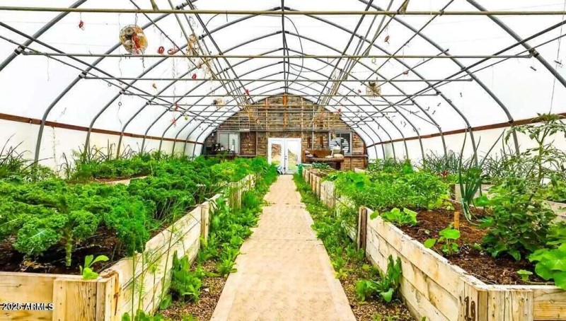 Greenhouse