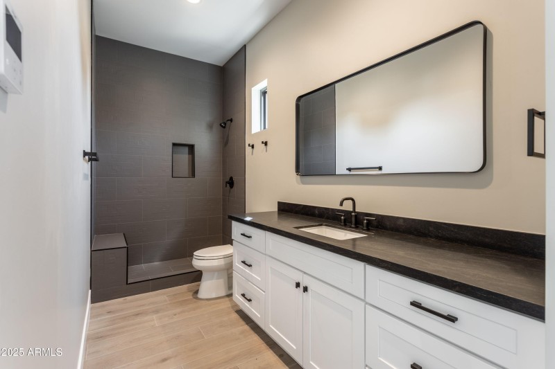Casita full bath Black Mist Quartz count