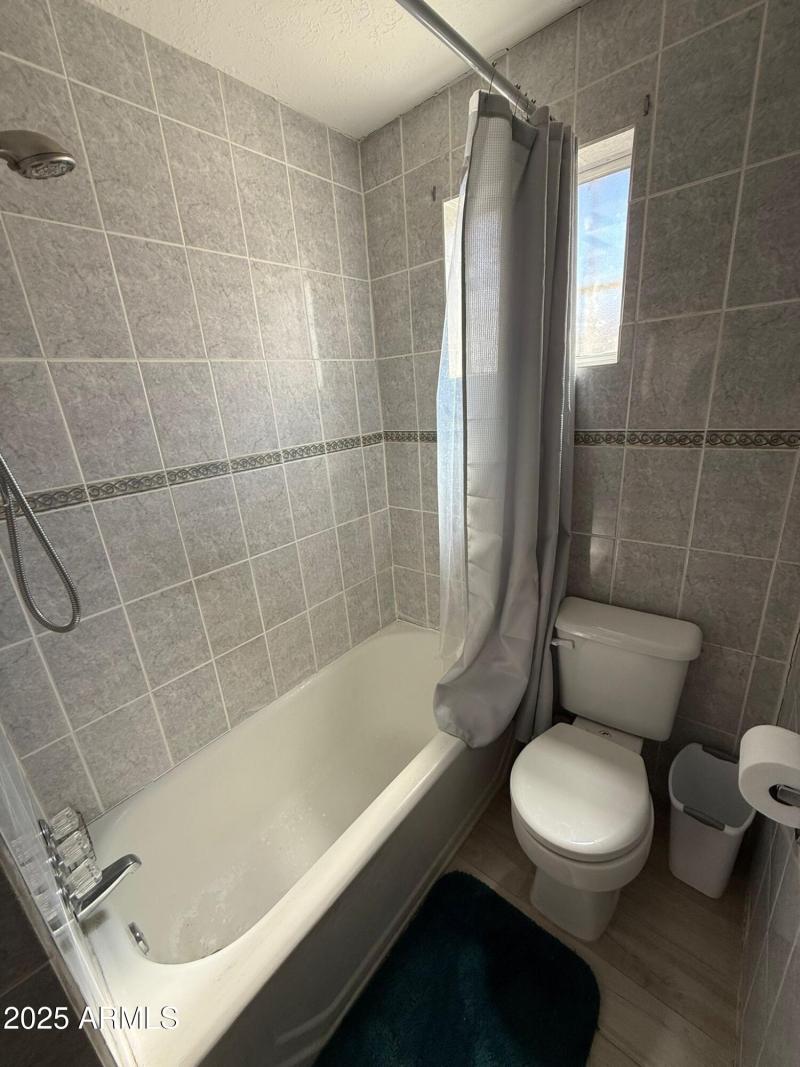 WhatsApp Image 2025-06-17 at 2.46.56 PM