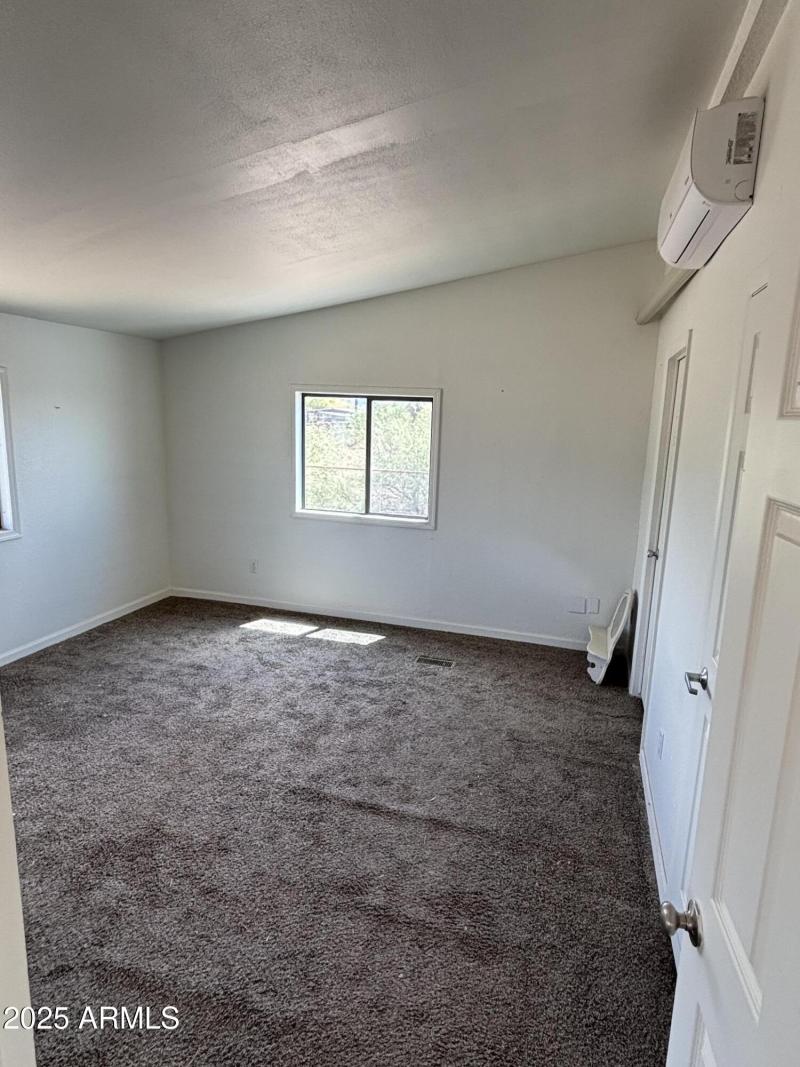 22875 Cactus Wren 2-1