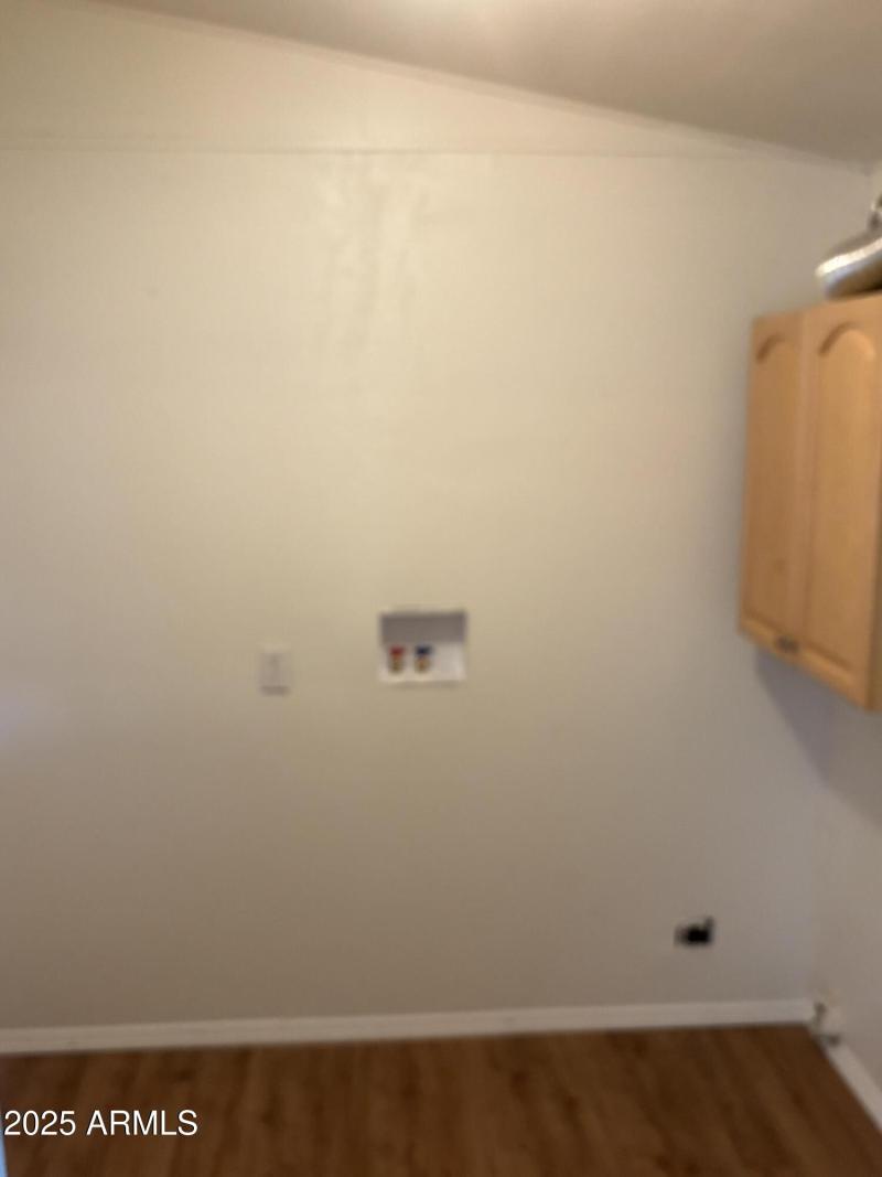 22875 Cactus Wren 2-9