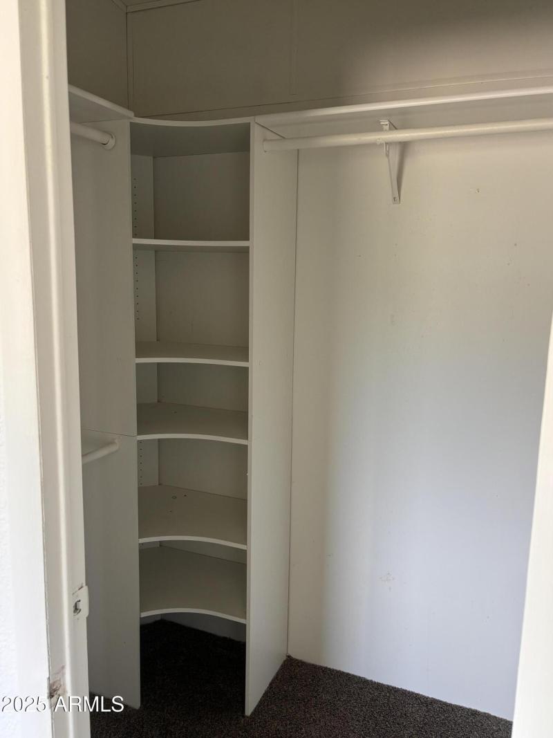 22875 Cactus Wren 2-4