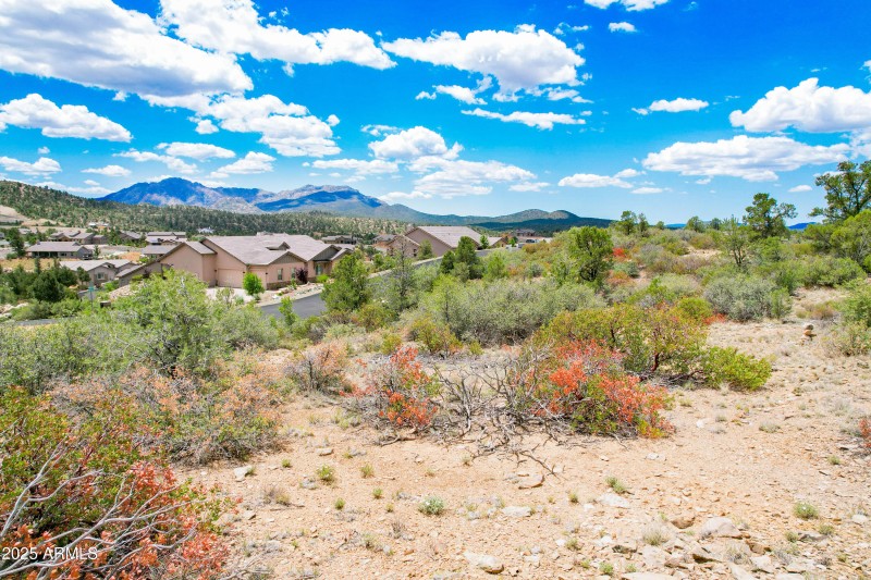 Terrain looking SE 2