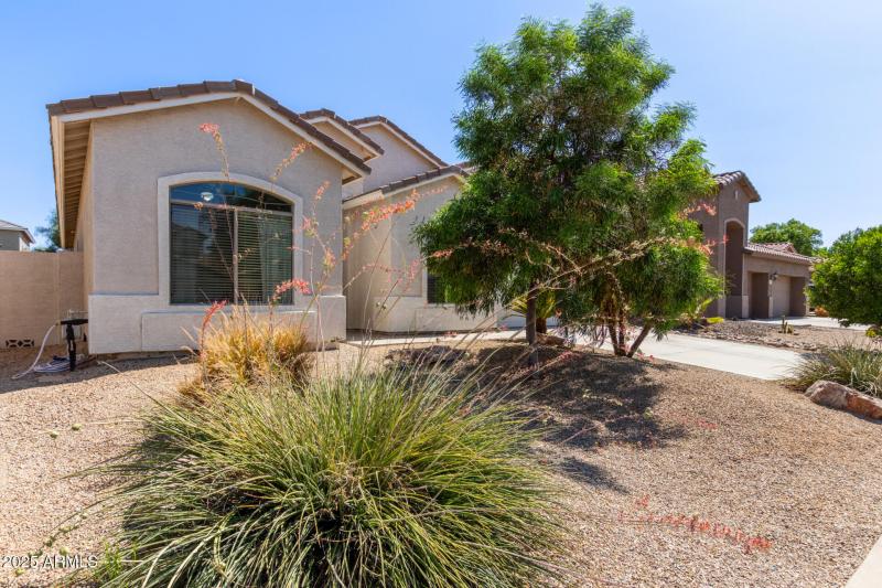 Beautiful Single Level Homes