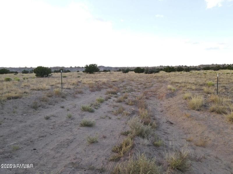 20250130125525597710000000-o