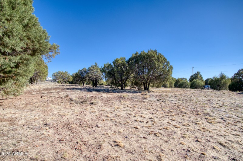 Paxmanphoto_PAX_3430