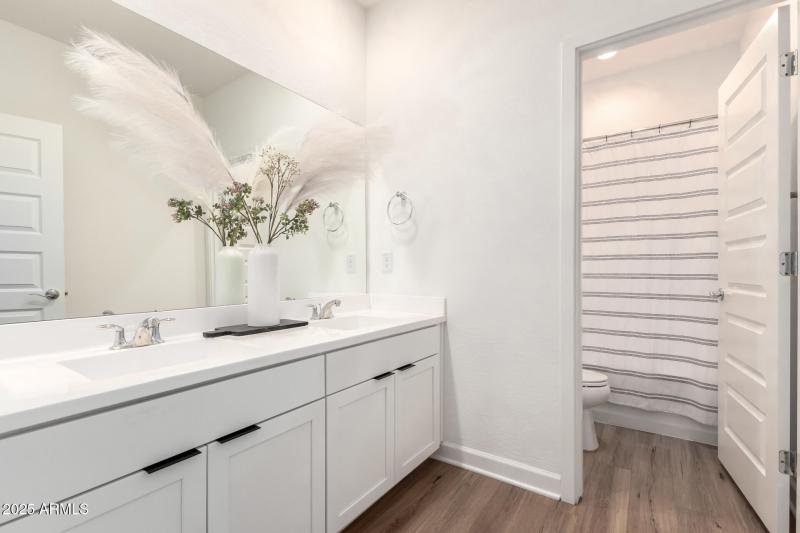 Upscale hallway bath