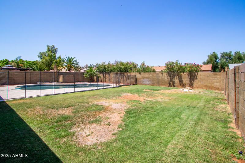 Backyard from SE corner