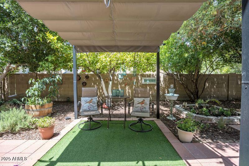 BACKYARD 4