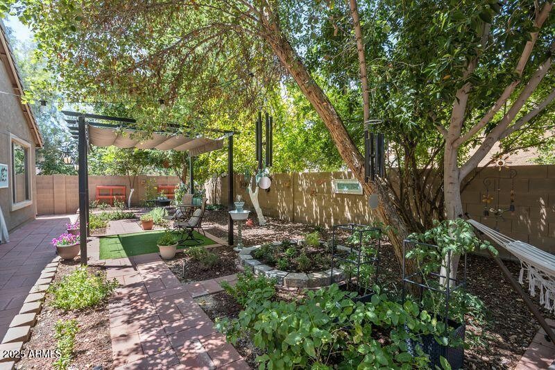 BACKYARD 7