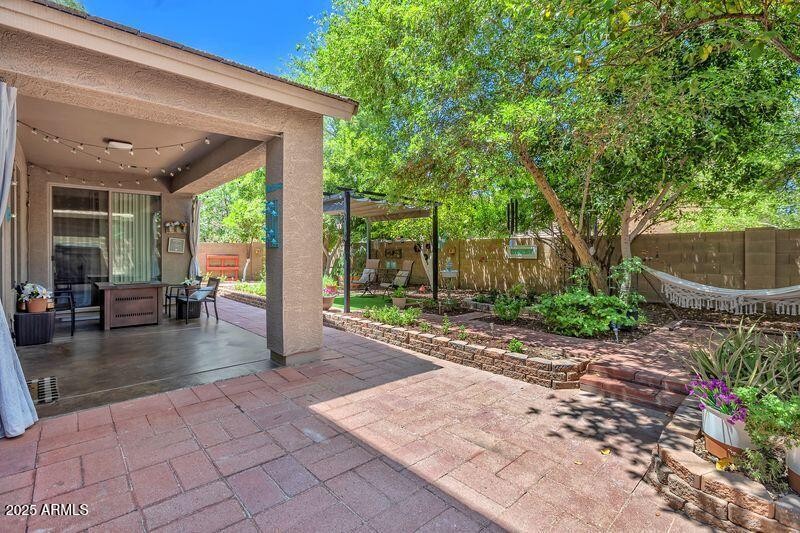 BACKYARD 9