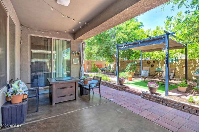 BACKYARD 1