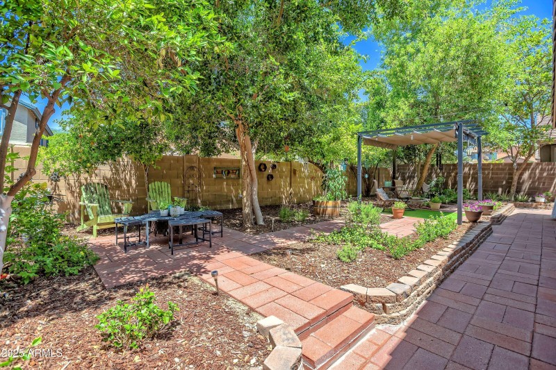 BACKYARD 5