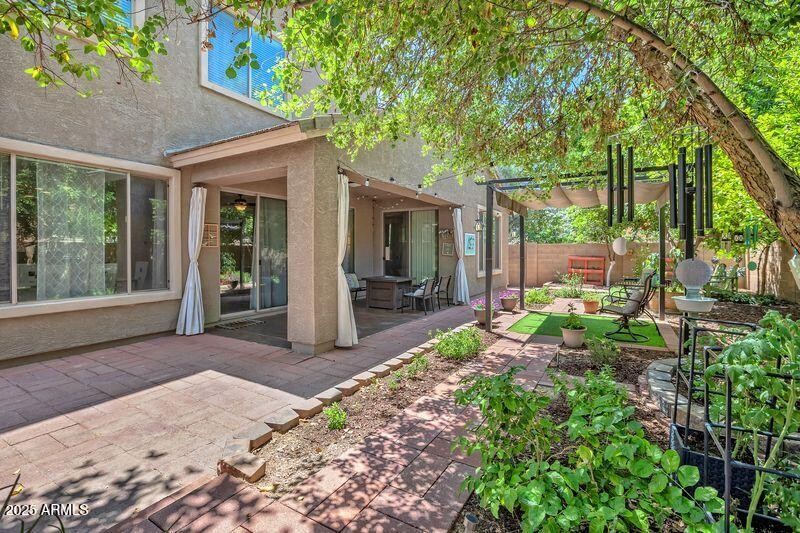 BACKYARD 8