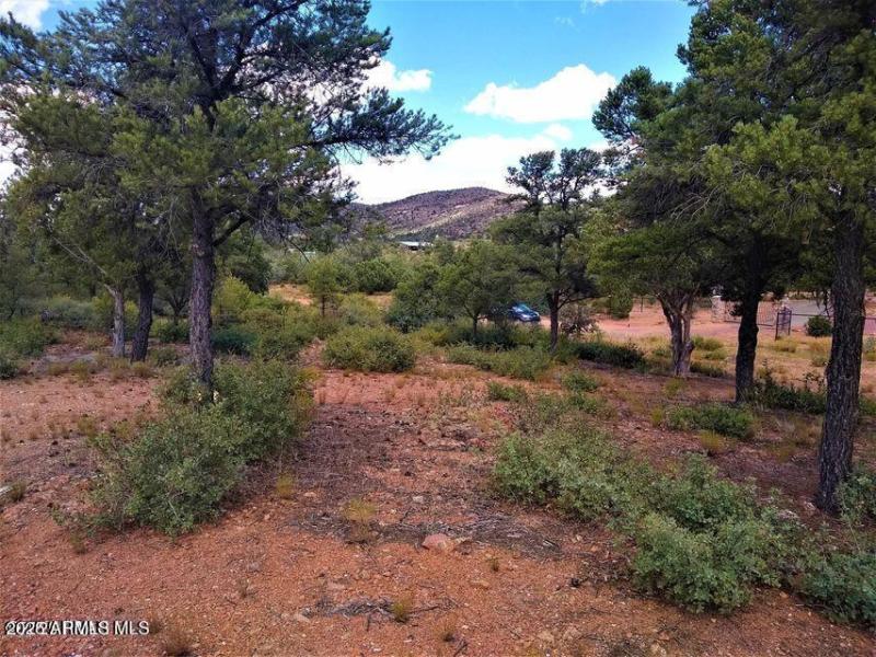 20250108032630493180000000-o