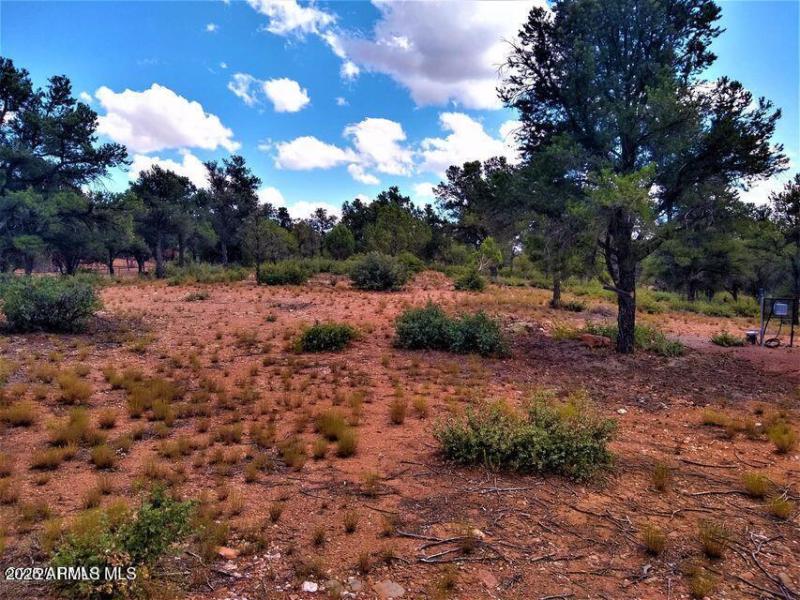 20250108032621346955000000-o