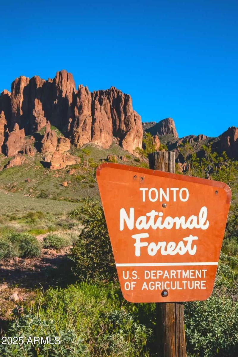 Tonto National Forest
