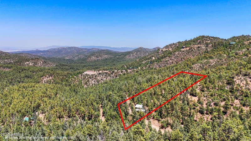 36-Aerial Lot Lines
