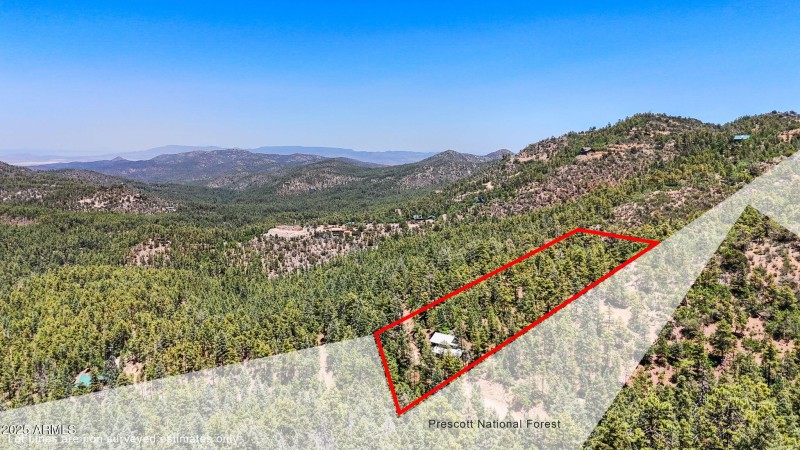 37-Aerial Lot Lines with National Forest