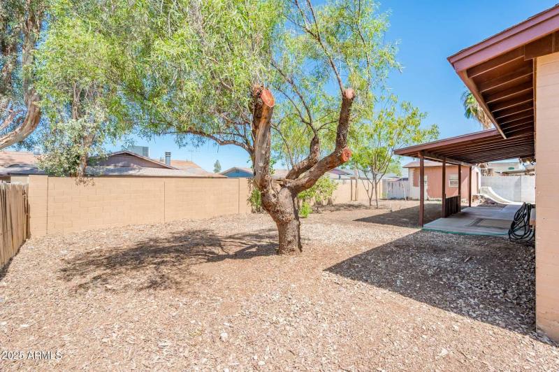 Yard & 3 Storage Sheds