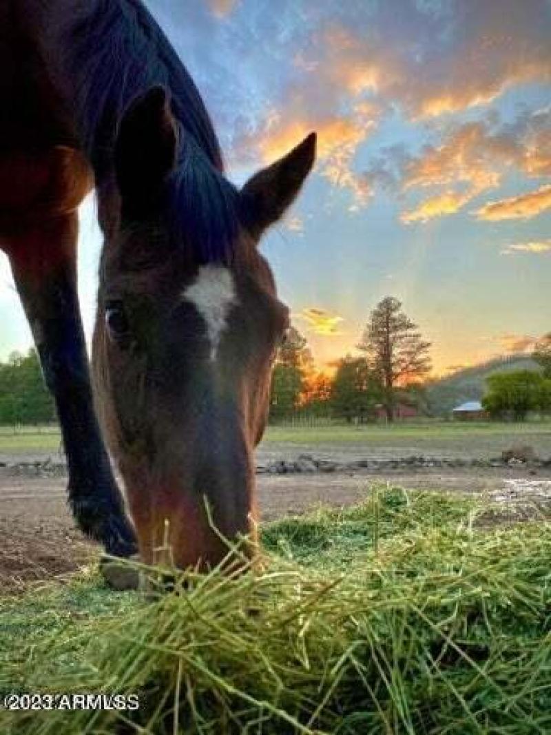 20230623164503619136000000-o