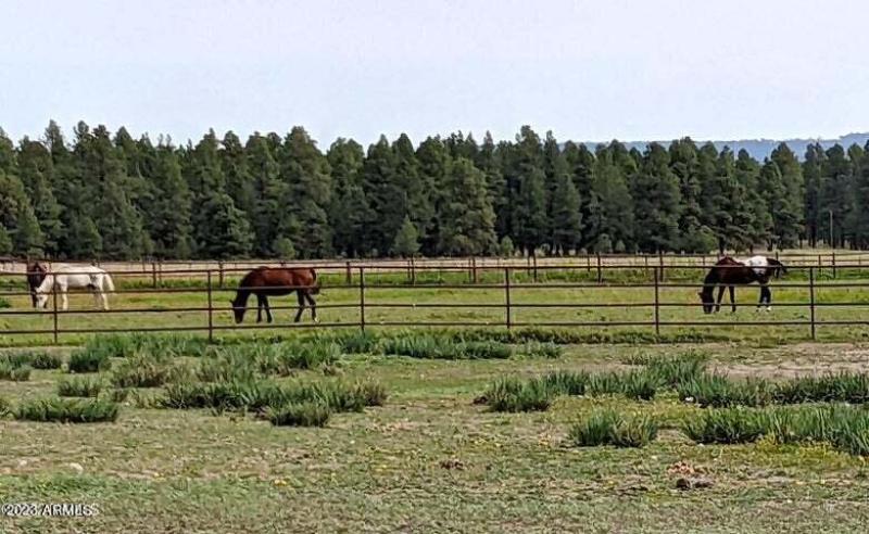 20230623164512710921000000-o