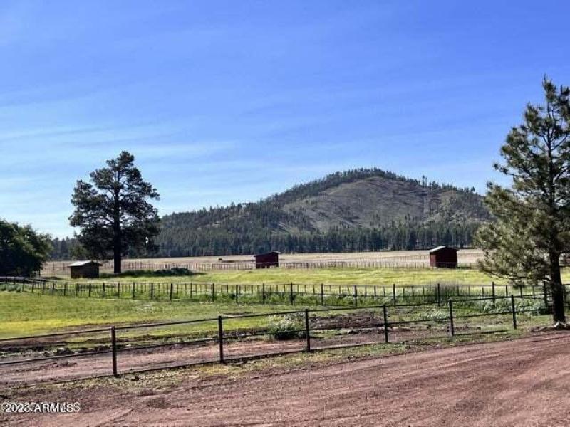 20230624044425540315000000-o