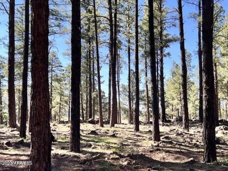 20230624044601041220000000-o