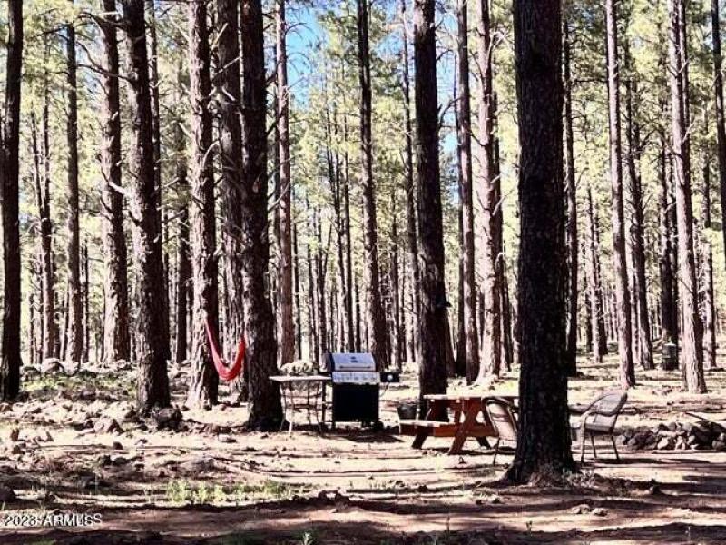 20230624044612859430000000-o