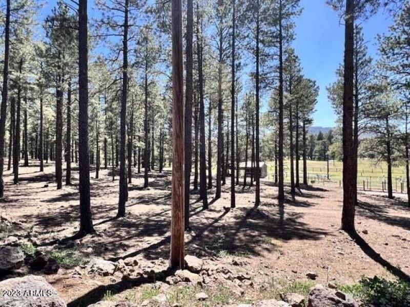 20230624044818937226000000-o